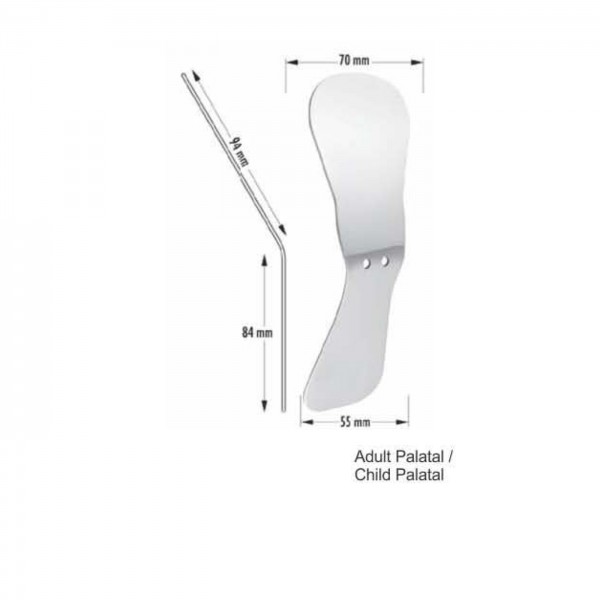 Adult Palatal