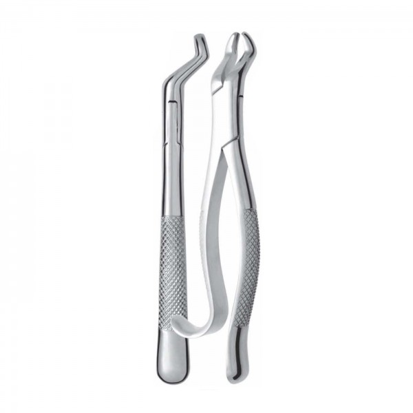 Upper third molars